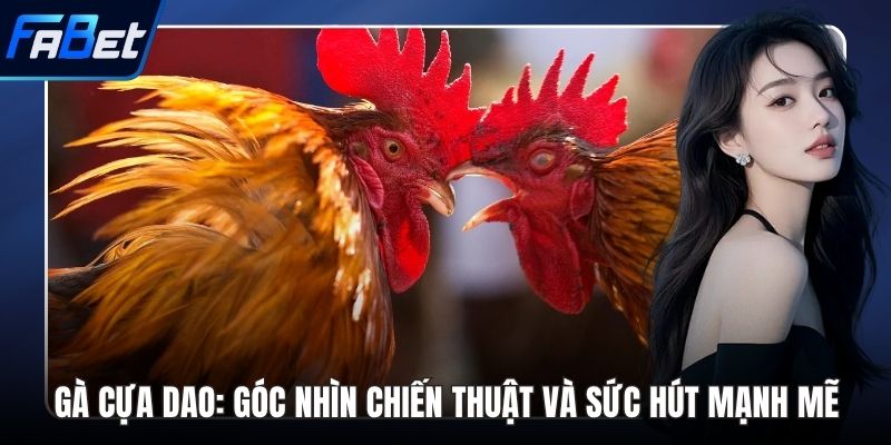 Gà cựa dao
