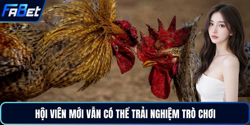 Hội viên mới vẫn có thể trải nghiệm trò chơi