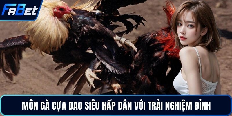 Môn gà cựa dao siêu hấp dẫn với trải nghiệm đỉnh