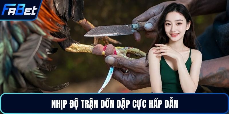 Nhịp độ trận dồn dập cực hấp dẫn